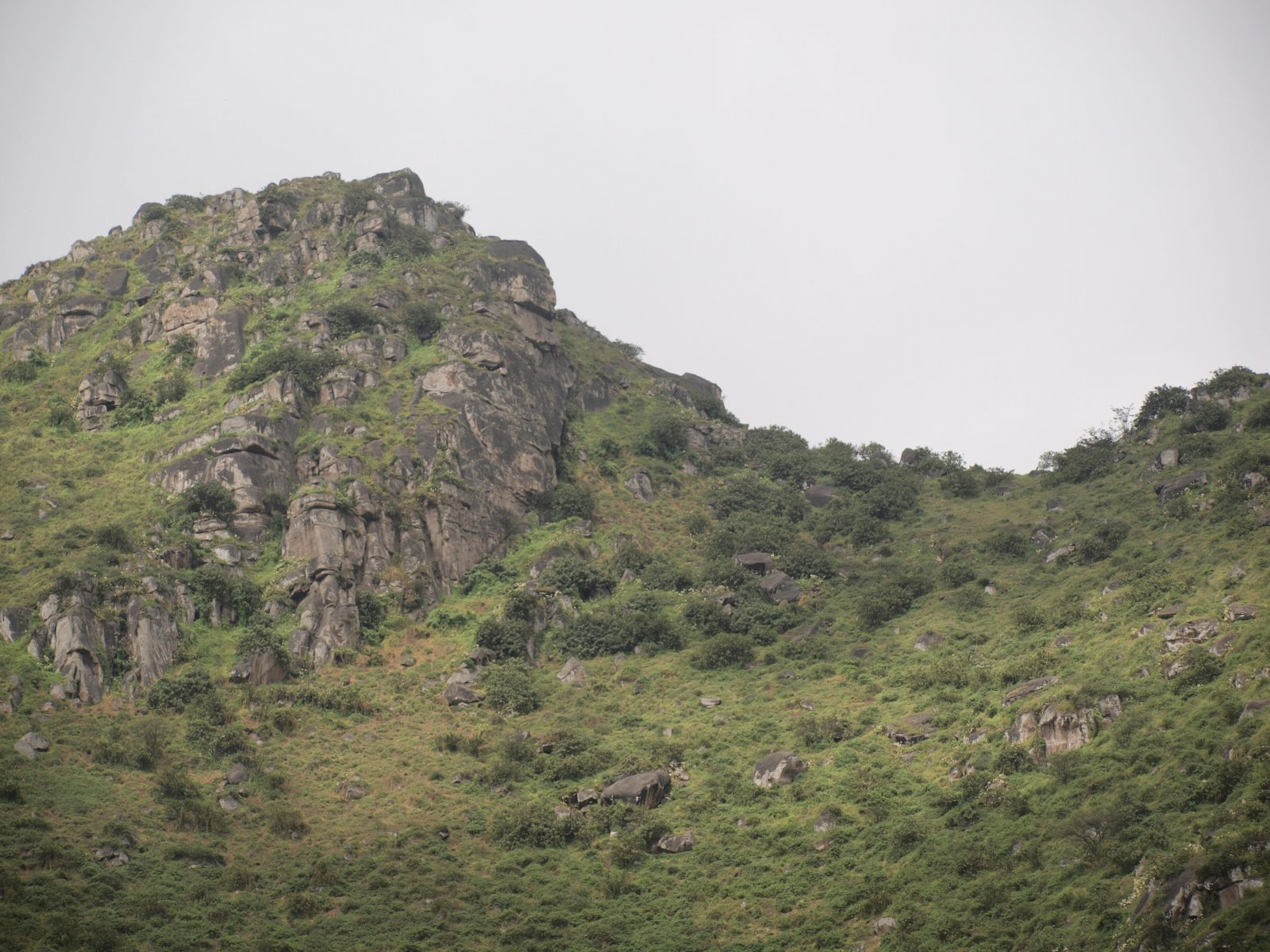 Lomas de Lúcumo