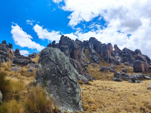 Huayllay · Bosque de Piedras